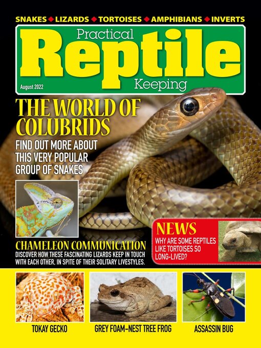 Title details for Practical Reptile Keeping by David Alderton - Available